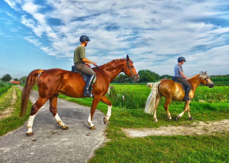 10 Essential Tips for Horseback Riding Beginners