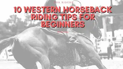 10 Essential Tips for Horseback Riding Beginners