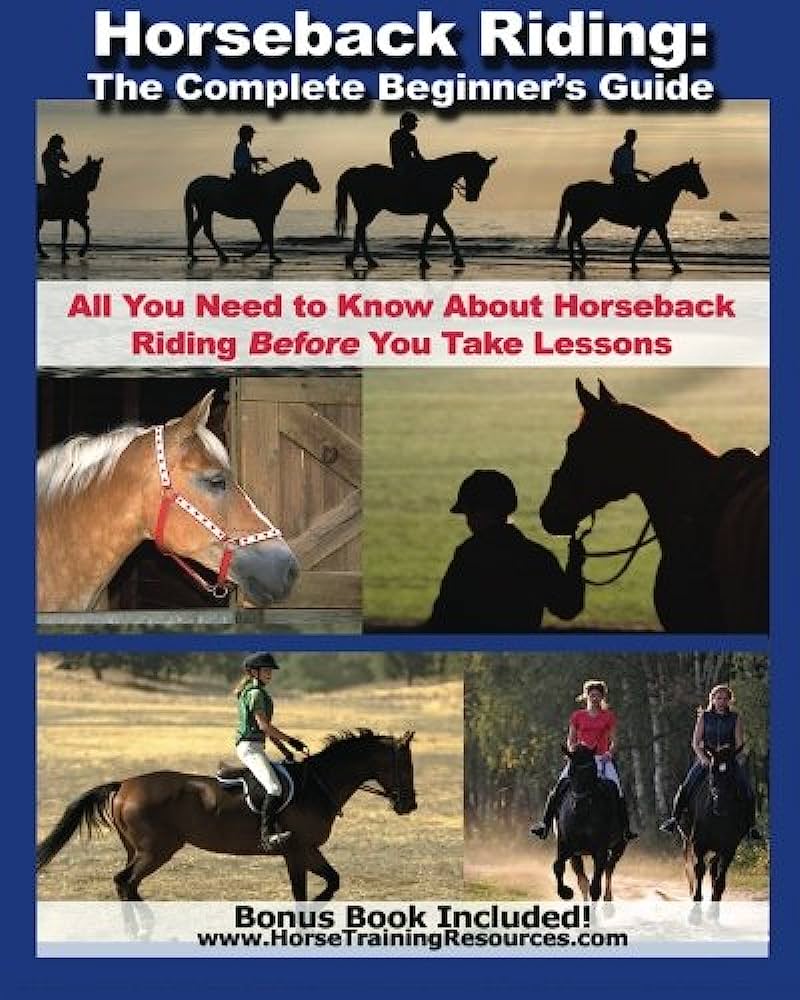 Beginners Guide to Horseback Riding