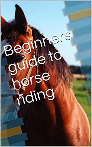 Beginner’s Guide to Horseback Riding