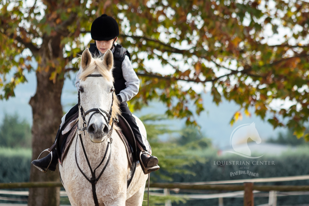 Benefits of Children Engaging in Horseback Riding