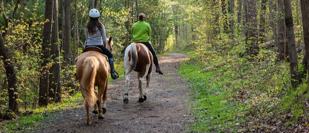 Benefits of Horseback Riding Vacations