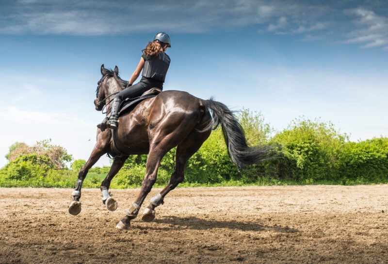 Choosing the Right Horseback Riding Gear