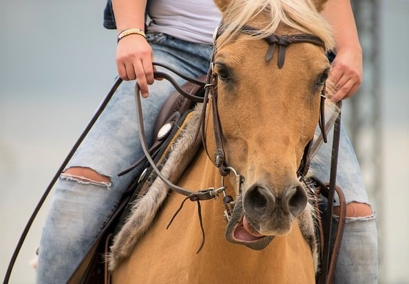 Common Mistakes to Avoid in Horseback Riding