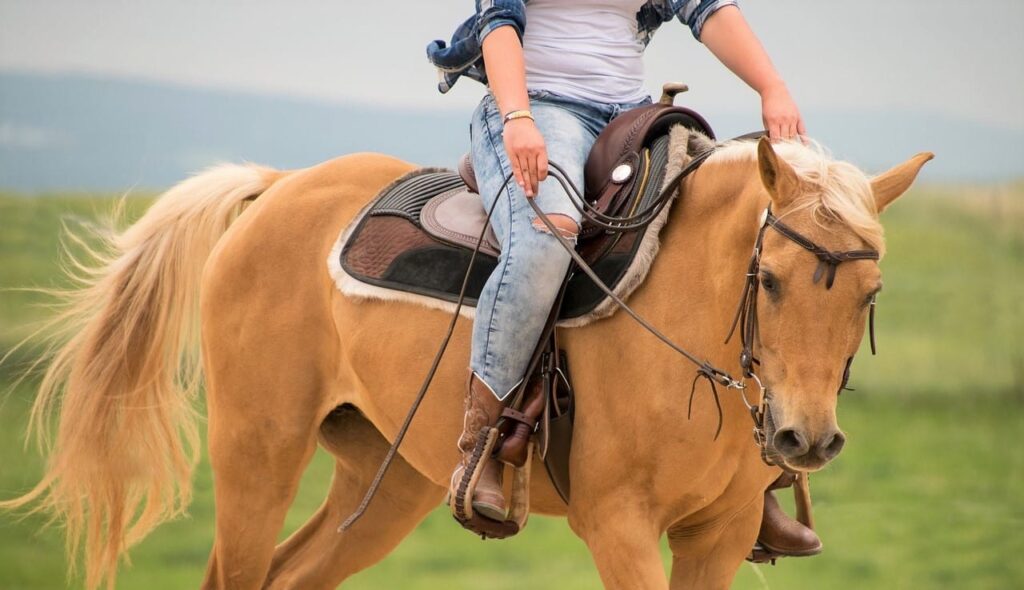 Common Mistakes to Avoid in Horseback Riding