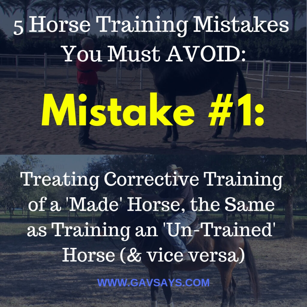 Common Mistakes to Avoid in Horseback Riding