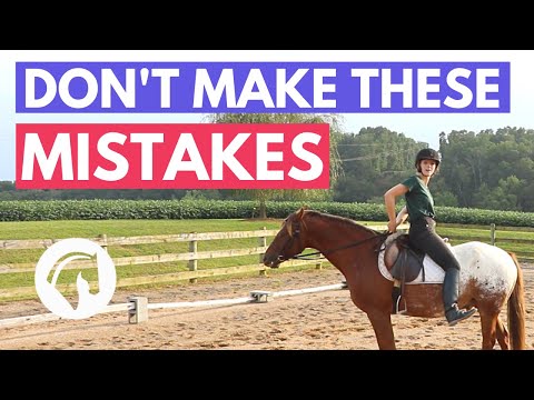 Common Mistakes to Avoid in Horseback Riding