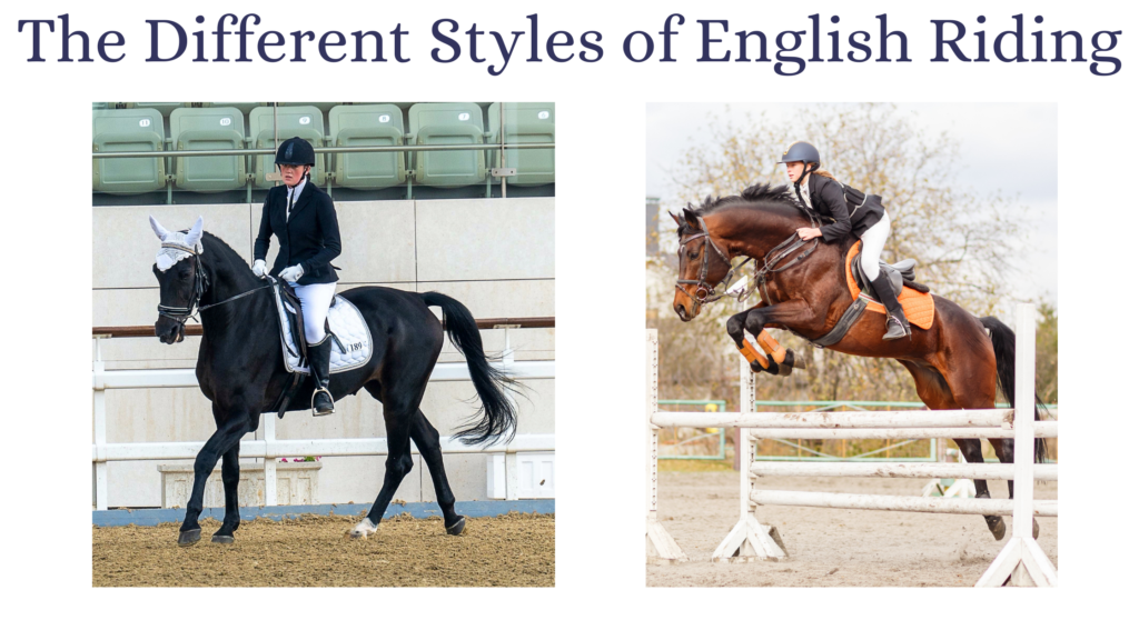 Different Styles of Horseback Riding