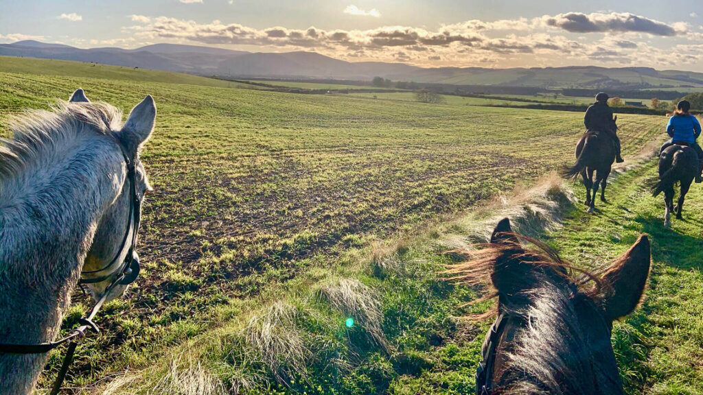 Discovering the Beauty of Nature through Horseback Riding