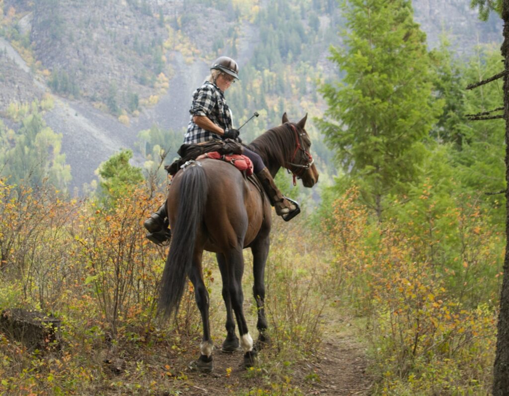 Discovering the Beauty of Nature through Horseback Riding