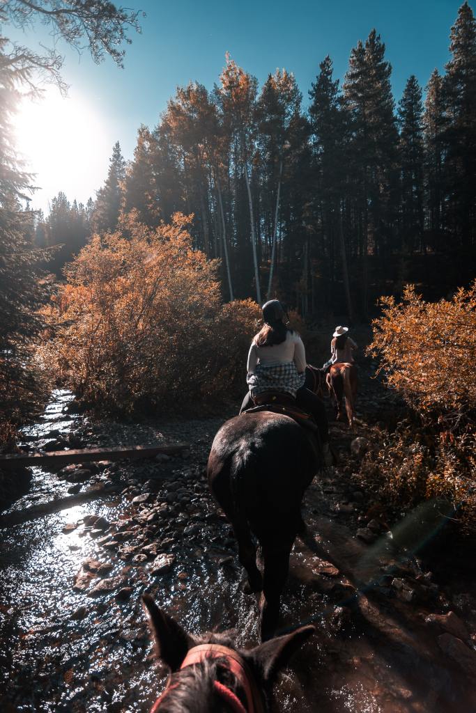 Discovering the Beauty of Nature through Horseback Riding