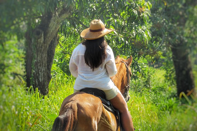 Discovering the Beauty of Nature through Horseback Riding