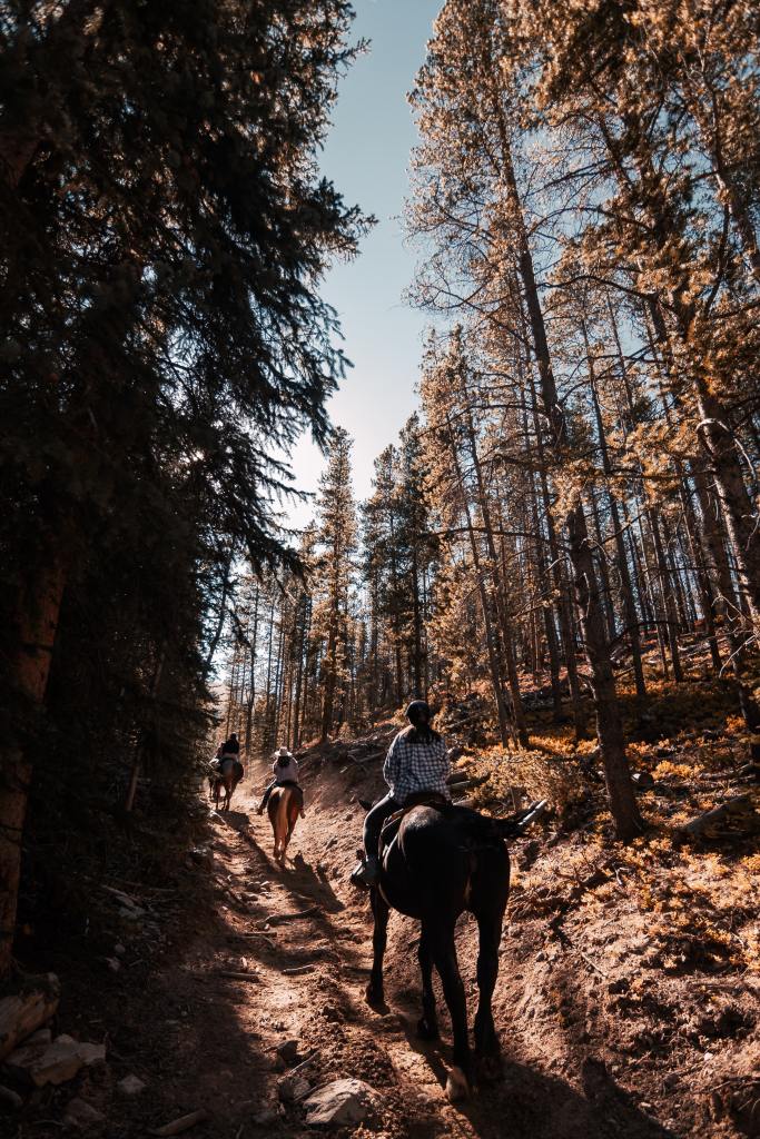 Discovering the Beauty of Nature through Horseback Riding