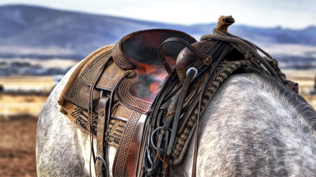 Essential Horseback Riding Gear