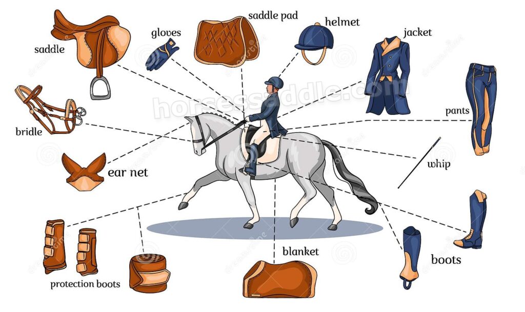 Essential Horseback Riding Gear