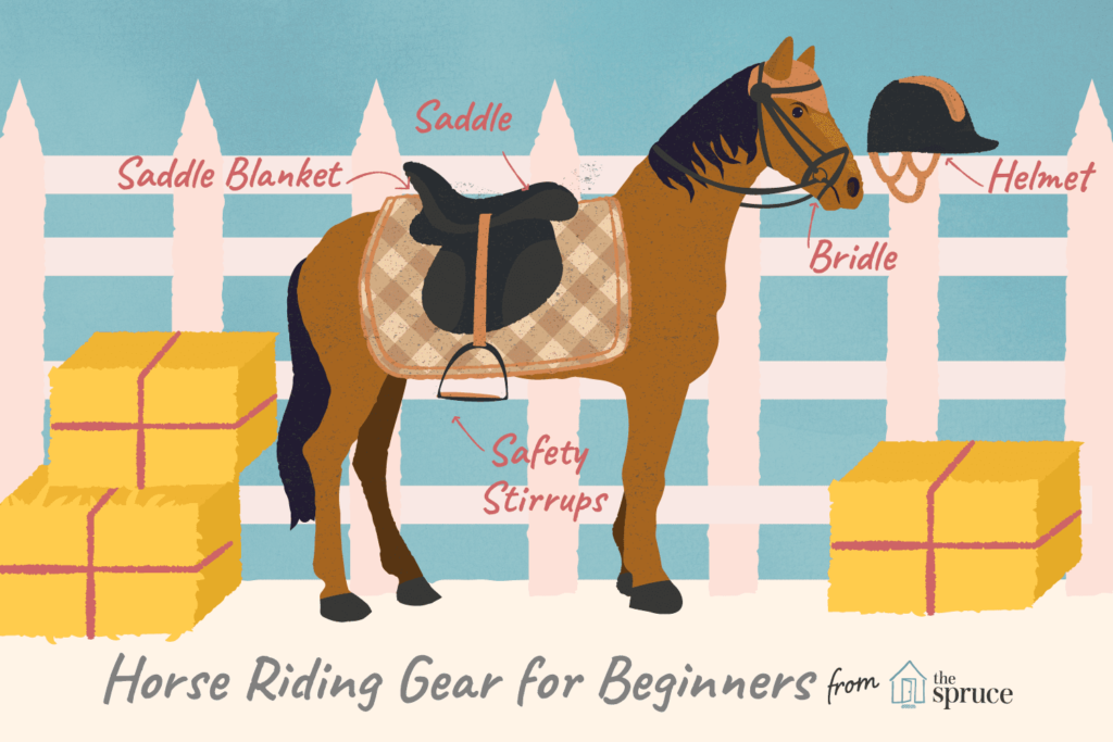 Essential Horseback Riding Gear