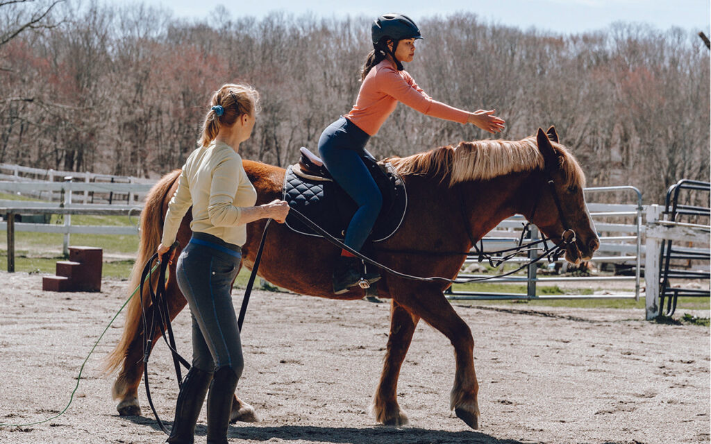 Exploring Different Breeds of Horses for Riding