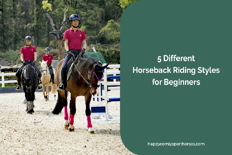 Exploring Different Horseback Riding Techniques