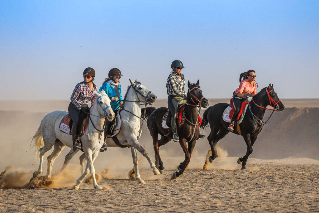 Exploring Horseback Riding Styles around the World