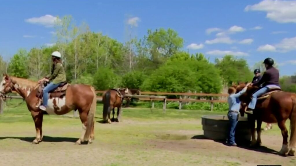 Exploring Nature through Horseback Riding