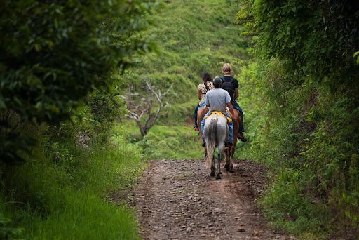 Exploring Nature through Horseback Riding