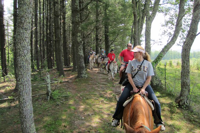 Exploring Nature through Horseback Riding