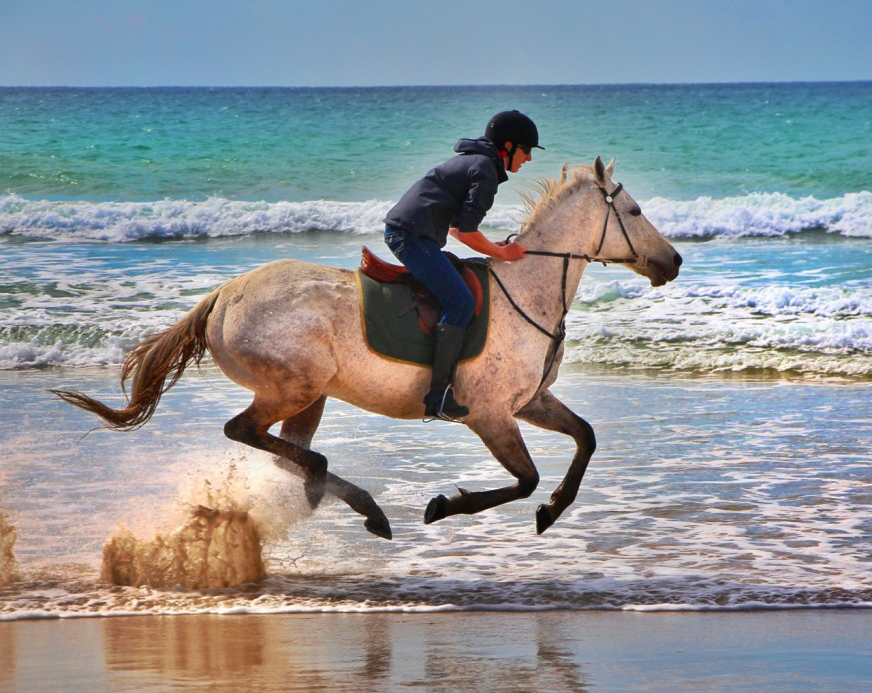 Famous Horseback Riding Destinations