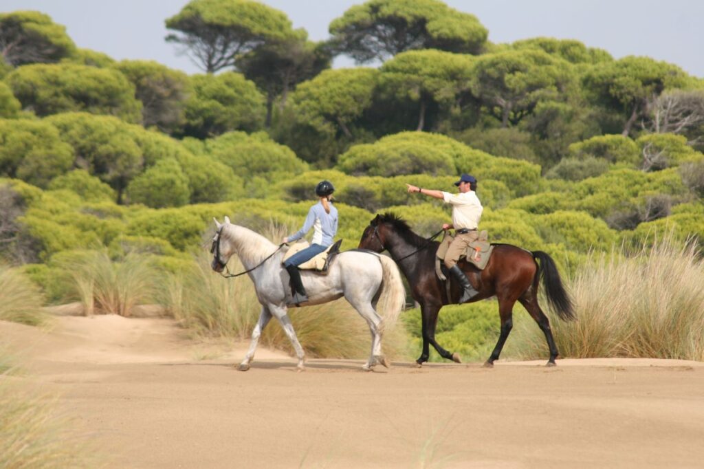 Famous Horseback Riding Trails Around the World