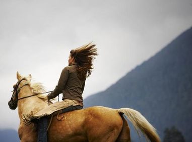 Horseback Riding: A Journey to Freedom and Connection