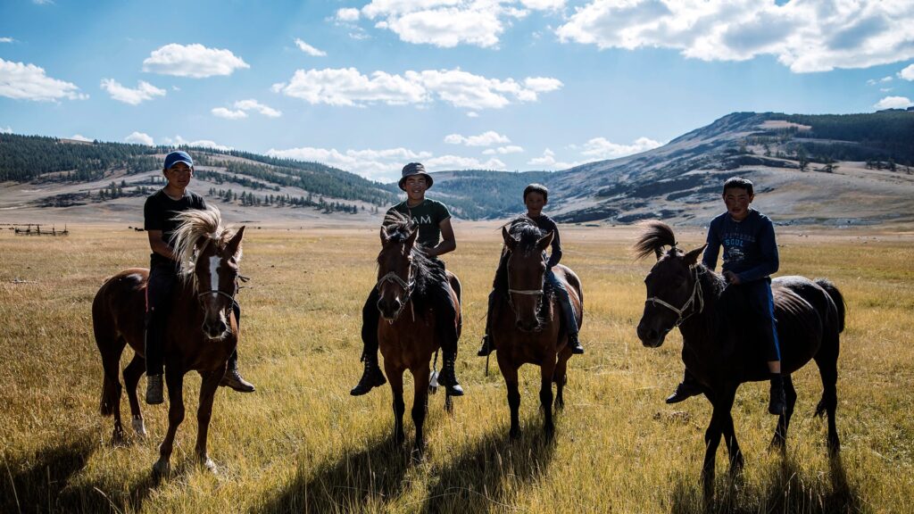 Horseback Riding: A Journey to Freedom and Connection