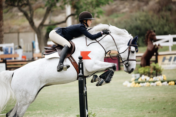 Horseback Riding and Equestrian Sports