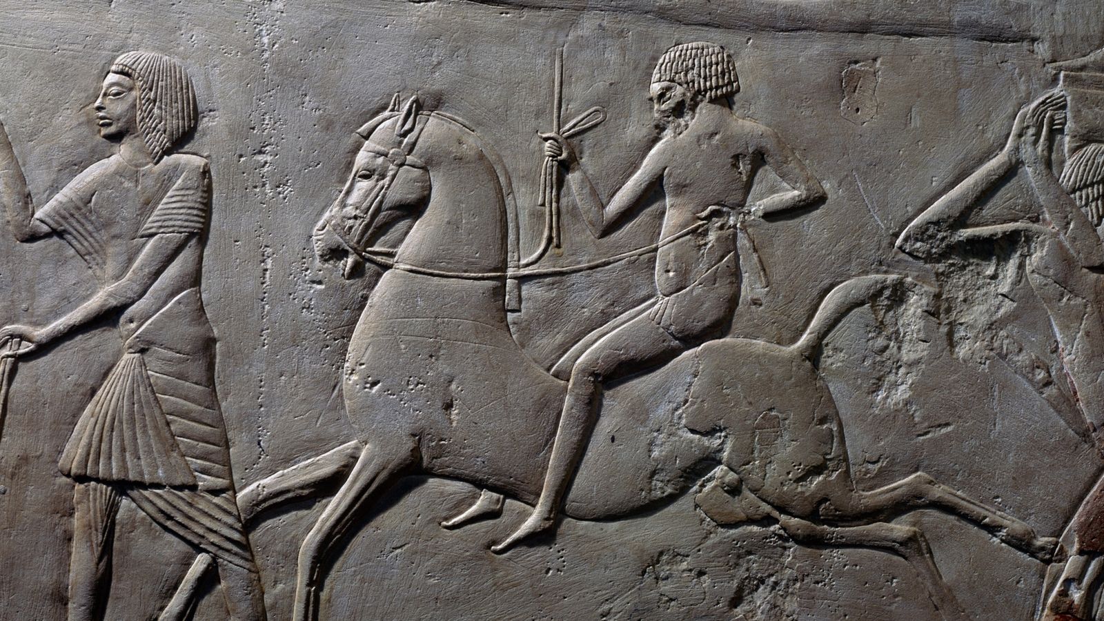 Horseback Riding and its Connection to Ancient Civilizations