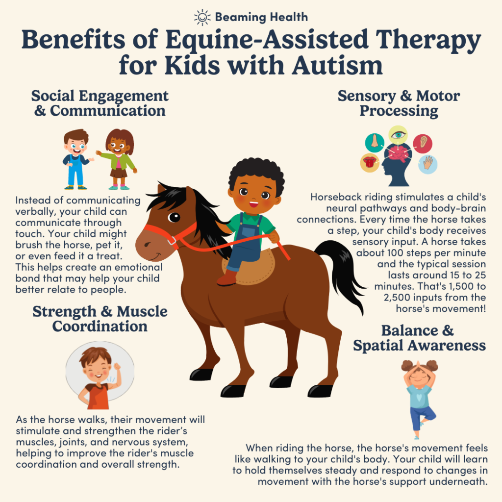 Horseback Riding and its Connection to Animal-Assisted Therapy