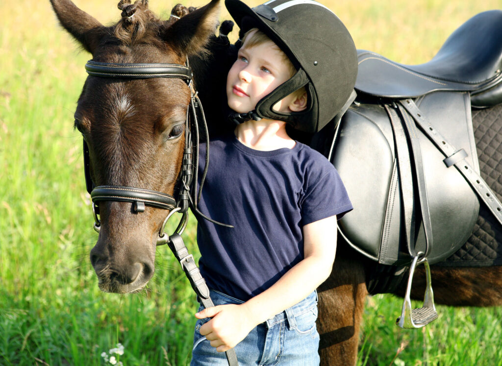 Horseback Riding and its Connection to Animal-Assisted Therapy