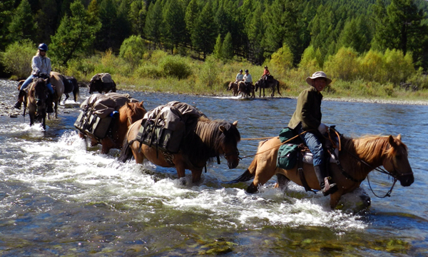 Horseback Riding and its Connection to Environmental Awareness