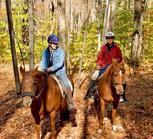 Horseback Riding and its Connection to Environmental Awareness