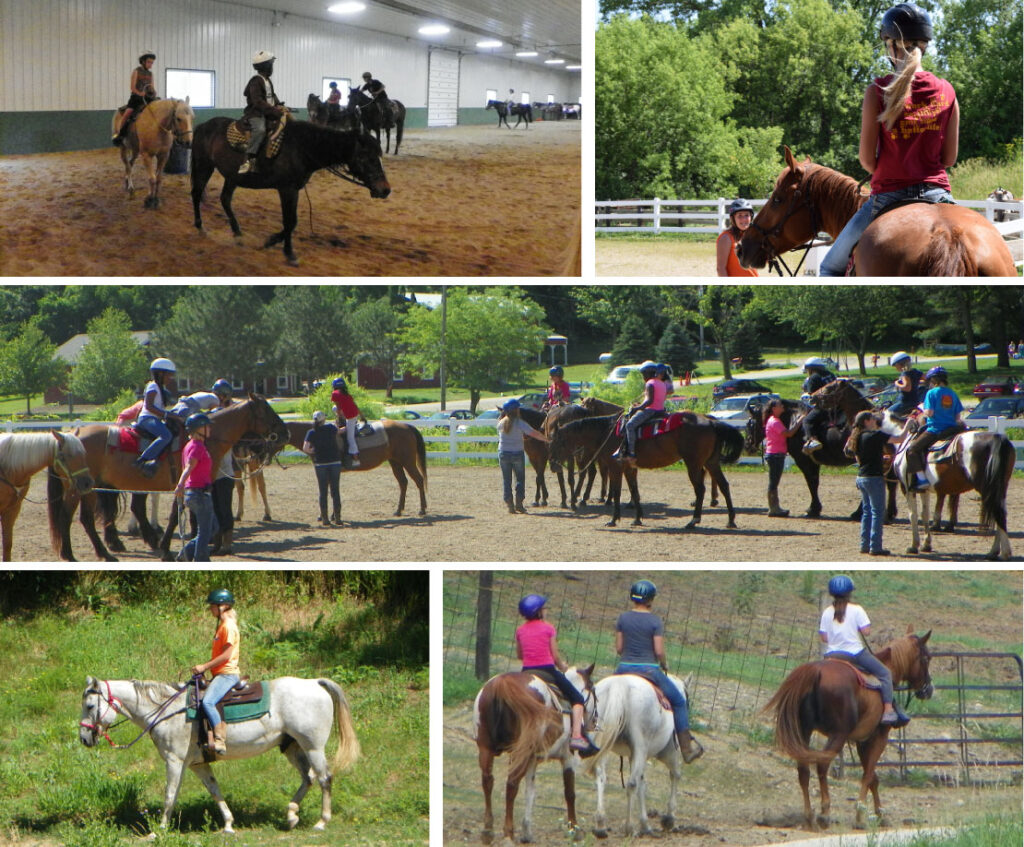 Horseback Riding and its Connection to Equine Assisted Growth