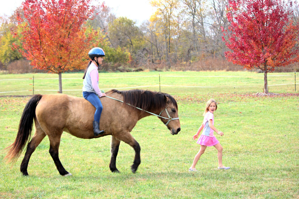 Horseback Riding and its Connection to Equine Assisted Growth