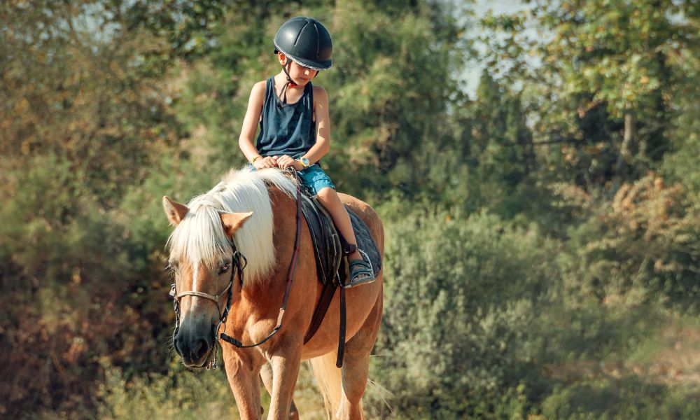 Horseback Riding and its Connection to Equine Assisted Growth