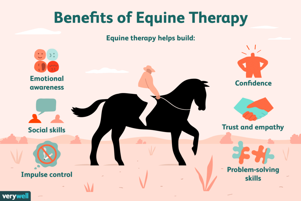 Horseback Riding and its Connection to Equine Assisted Psychotherapy