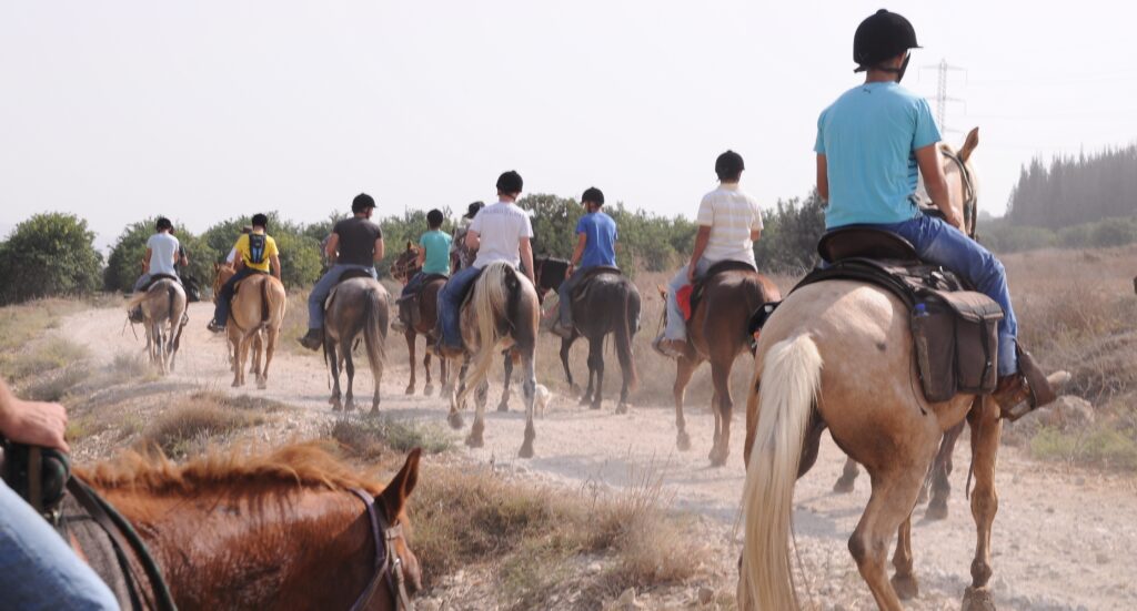 Horseback Riding and its Connection to Rehabilitation