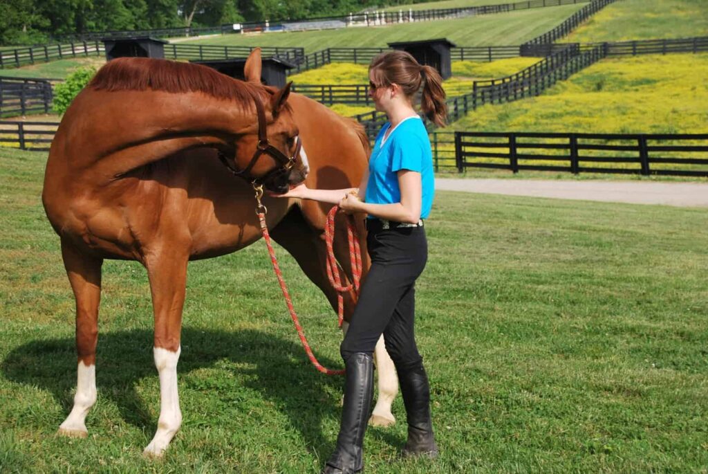 Horseback Riding and its Connection to Rehabilitation