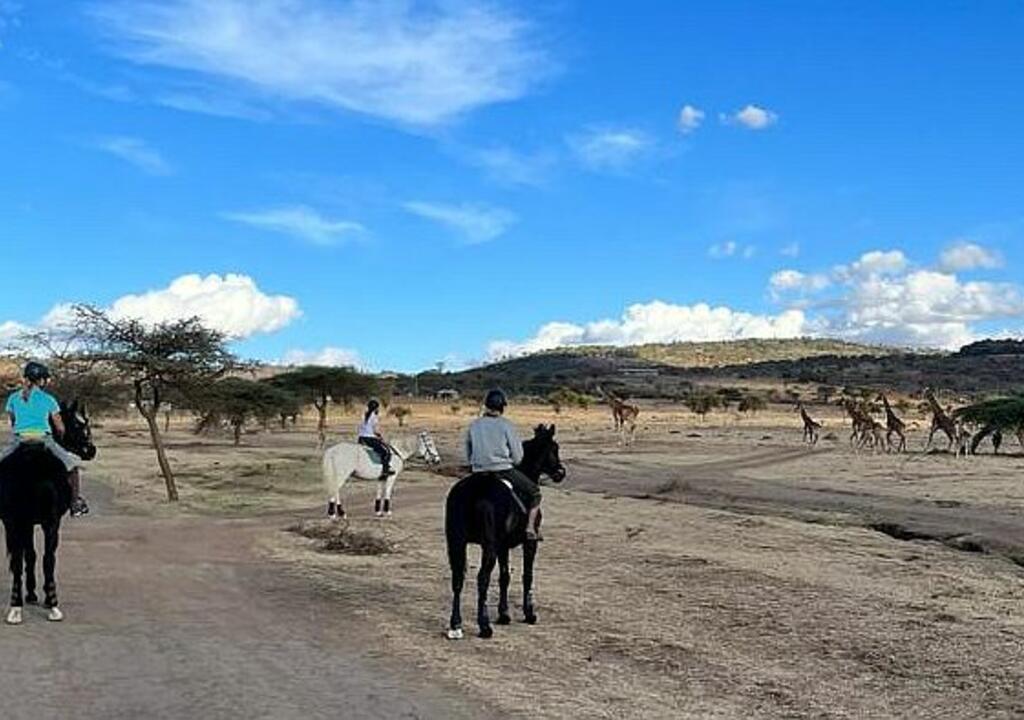 Horseback Riding and its Connection to Wildlife Conservation