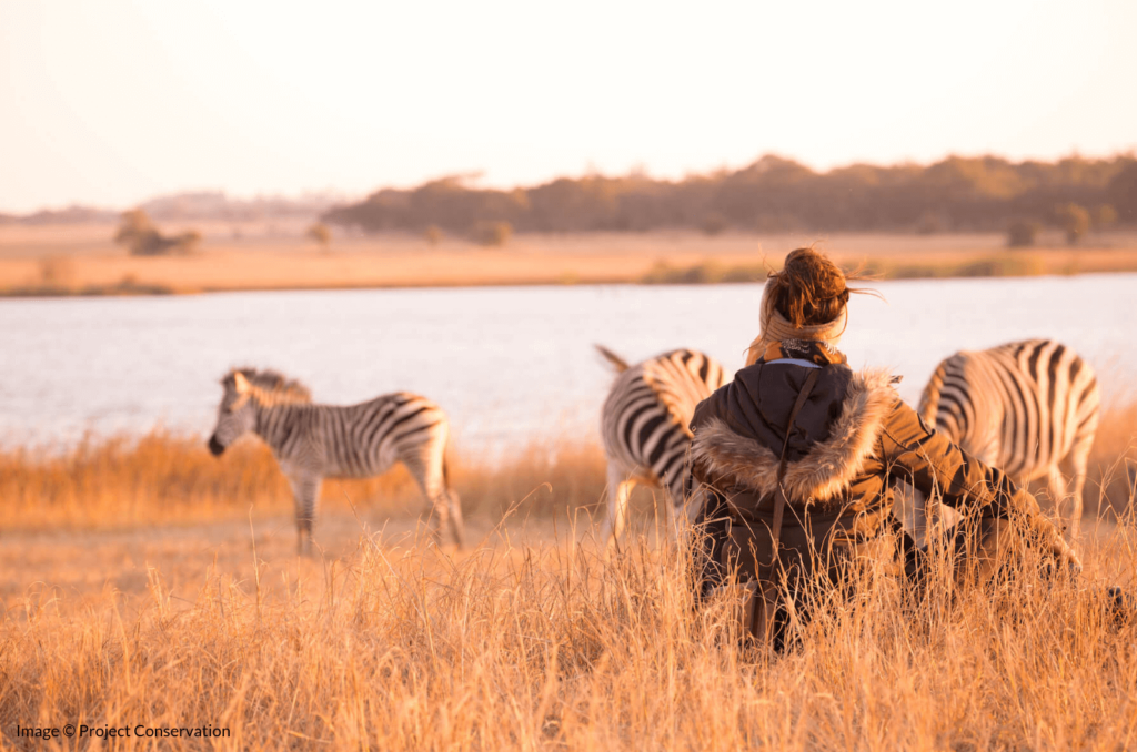 Horseback Riding and its Connection to Wildlife Conservation