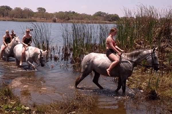 Horseback Riding and its Connection to Wildlife Preservation