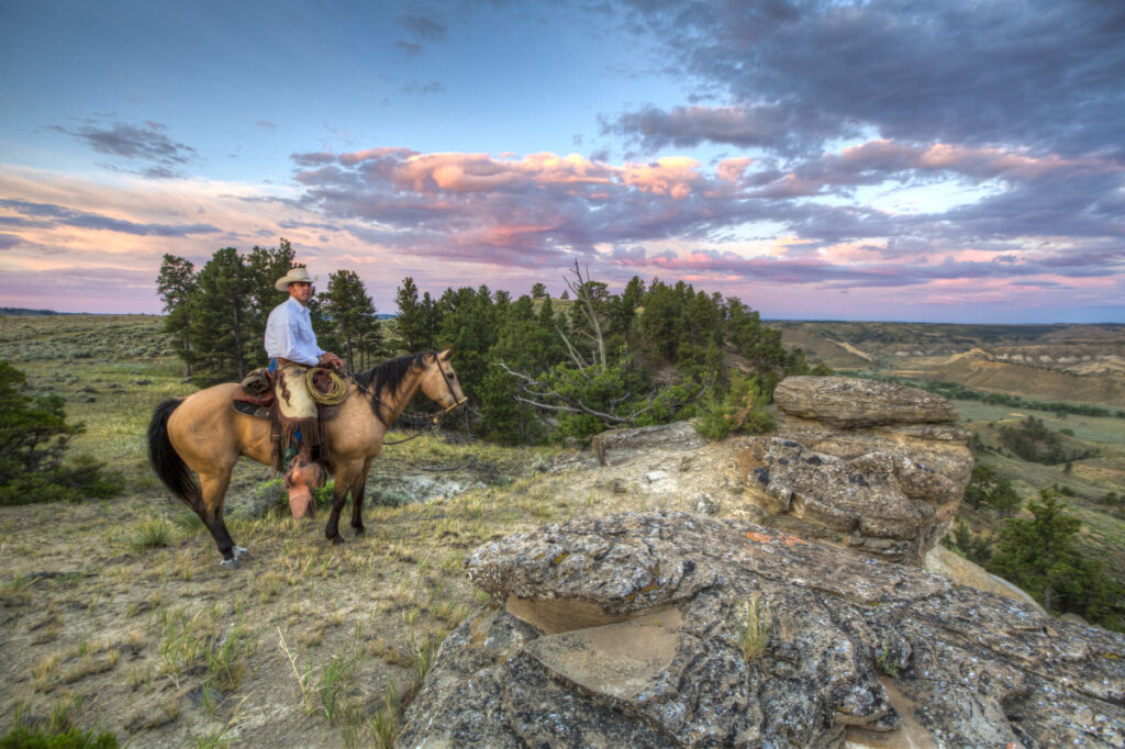 Horseback Riding and its Connection to Wildlife Preservation