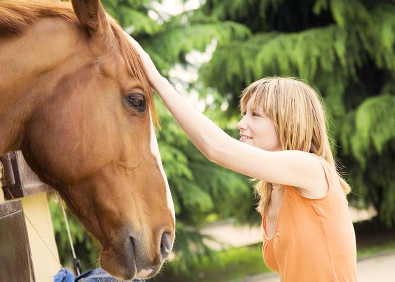 Horseback Riding and its Connection to Wildlife Rehabilitation