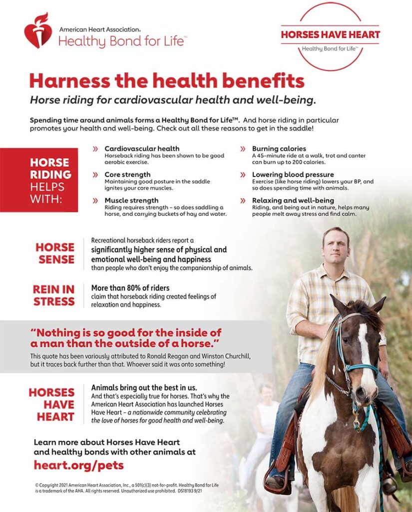 Horseback Riding and its Health Benefits