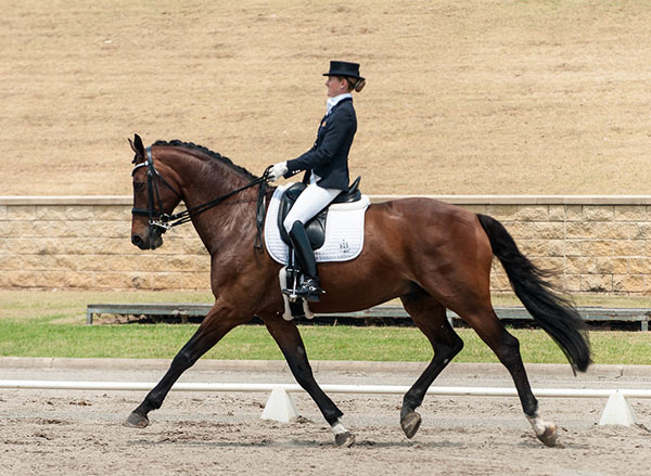 Horseback Riding and Its Impact on Core Strength