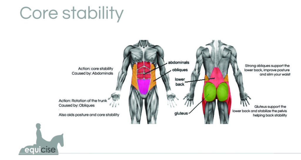 Horseback Riding and Its Impact on Core Strength